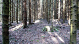 Grabhügel 2 im südlichen Teil des Galgenholzes